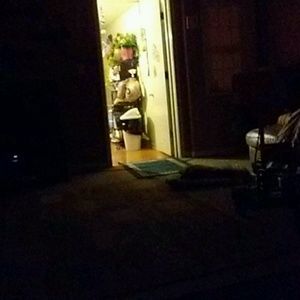 Meet your Posher, Cameron